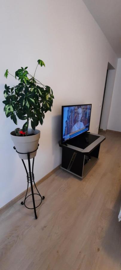 Farmec Studio Apartment Cluj-Napoca Luaran gambar